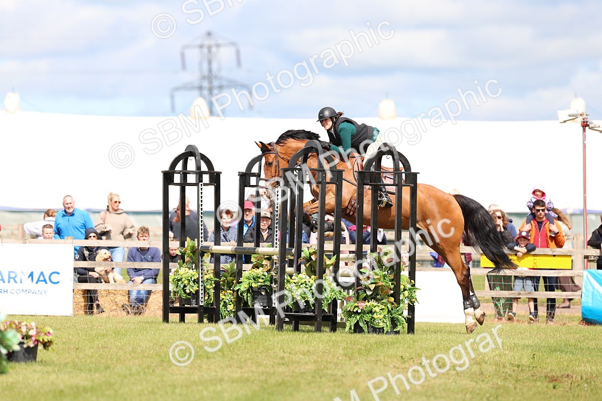 SBM_13428 - Class 206 - Senior Newcomers - 1.10m Open