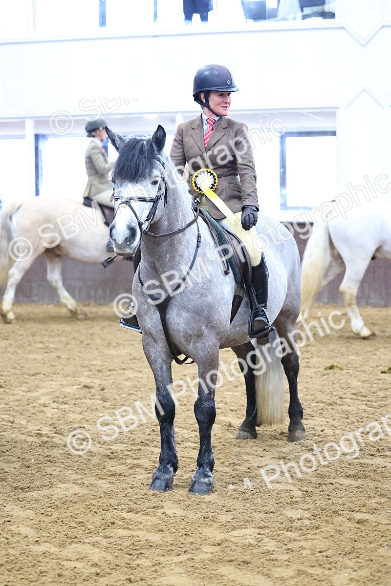 SBM_003690 - Class 37 - 80cm Training Stakes
