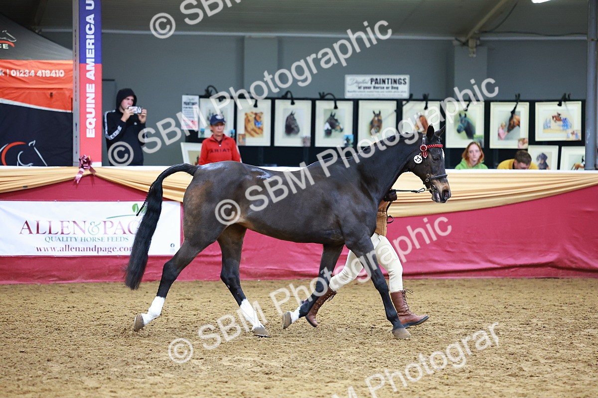 SBM_16160 - Class 901 - Sup Final - IH Diamond