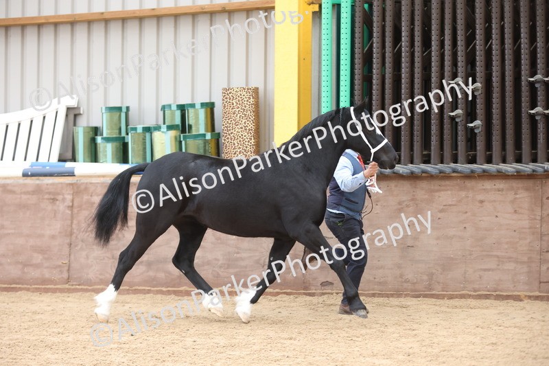 20251109-0910 - Class 26 - 2 and 4 Year Olds