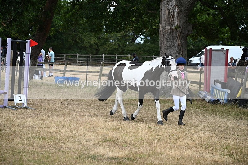 WJ6_8113 - Class 10 Coloured in Hand