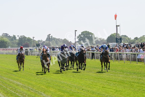 160525-Race 1-Secret Hideaway-6059 - Race 1 2.10pm Clipper EBF Marygate Fillies' Stakes