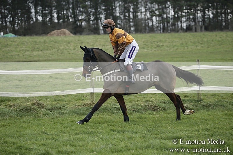 PtP 031217 76 - Hursley Hambledon Point-to-Point Larkhill 03/12/17