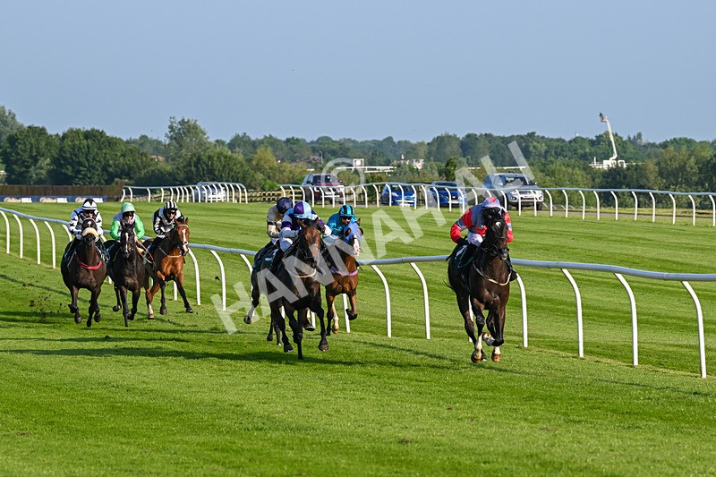 310524-Race 2-Dandy Fitz-8468 - Race 2