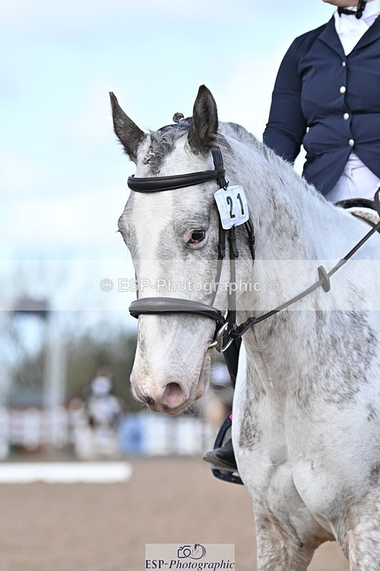 240324A-124215-02353 - Novice 28, 12.15 to 13.00