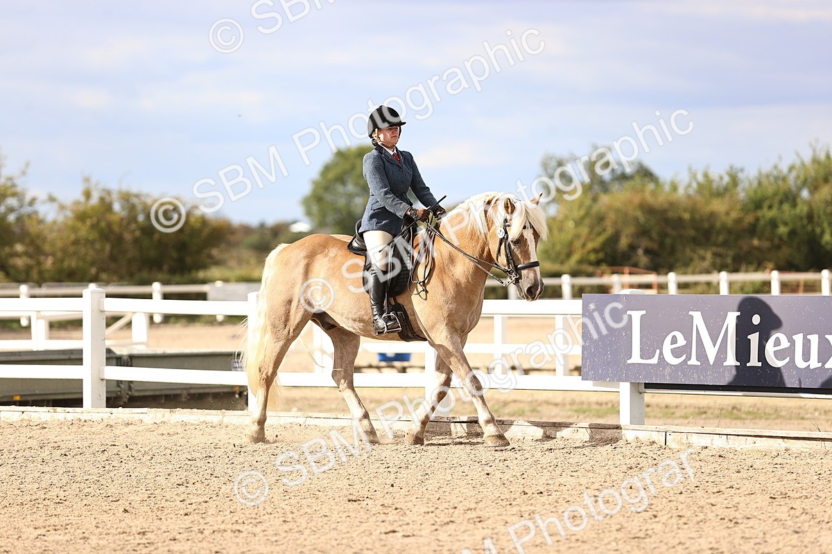 SBM_18150 - Class 423 - Equitation (best rider) Adult