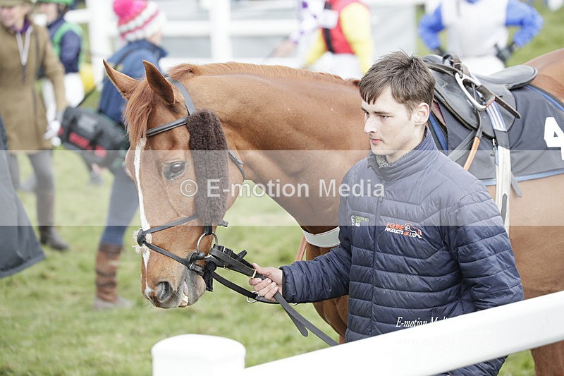 PtP 260323 0874 - New Forest Hounds Point-to-Point Larkhill 26/03/23