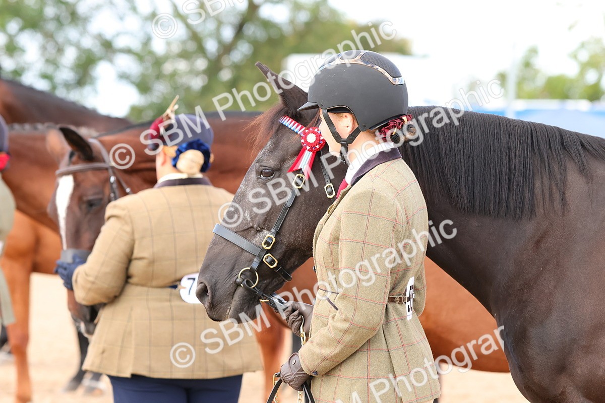 SBM_11748 - Class 208 - IH Veteran Horse