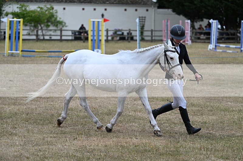 WJ7_8315 - Class 4 Prettiest Mare up to 14.2hh
