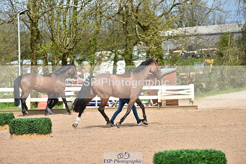 240417A-143510-00574 - 2pm to 3pm