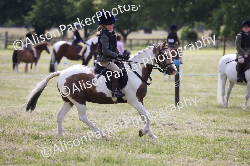 20260614-0699 - Class 20 - Beginners Working Hunter Pony