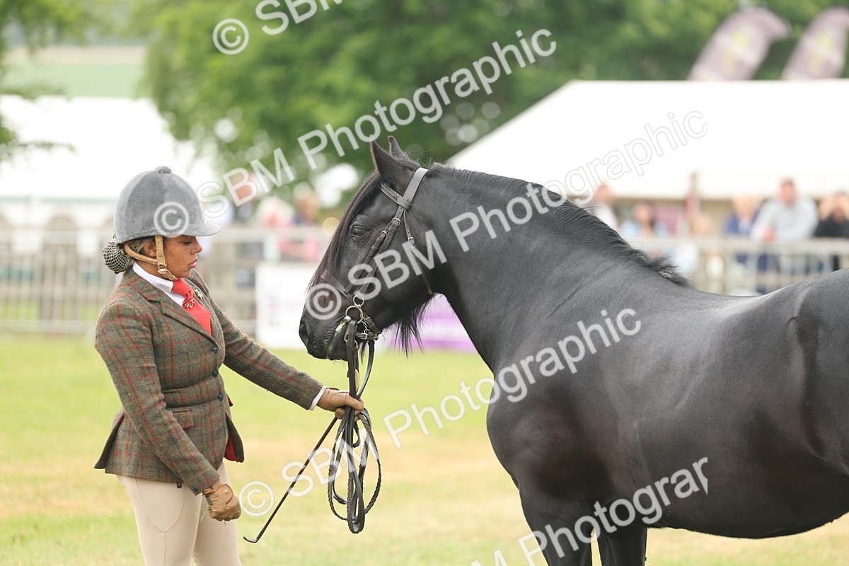 SBM_08989 - Class 78-80 - Ridden M&M Non Welsh Ponies