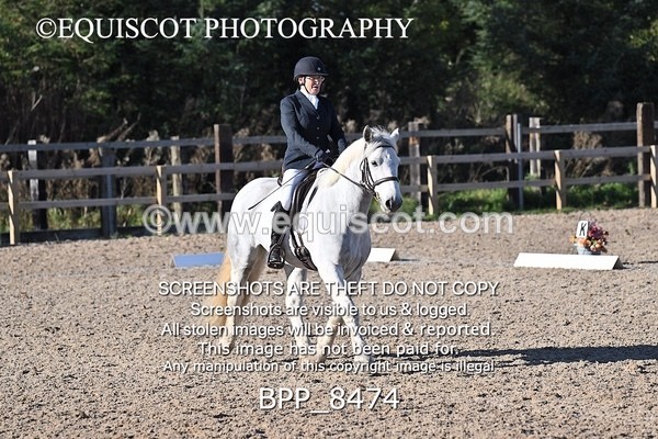 BPP_8474 - LONG ARENA