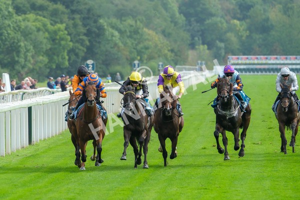 080925-Race 4-Zain Blue-9027 - Race 4 4.00pm Sky Bet Extra Places Middle Distance Handicap