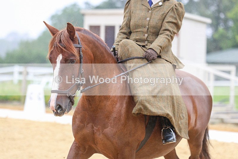 3E7A5482 - Class 2: Intro 4 2024 section B