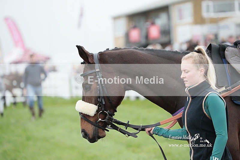 PtP 271122 211 - Hursley Hambledon Hunt Point-to-Point - Larkhill - 27/11/22