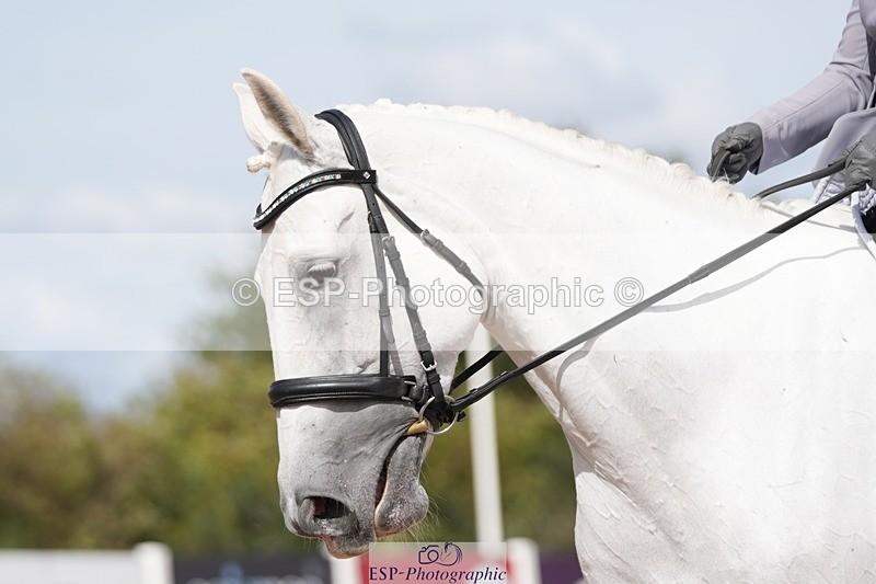 250906-122605-02337 - 070-Charlotte.DoreyDeards.Silver.Bounce