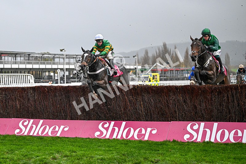 141125-Race 4-Jonbon-0386 - Race 4