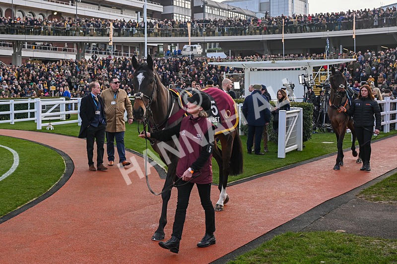 250125-Race 5-Spirits Bay-3479 - Race 5