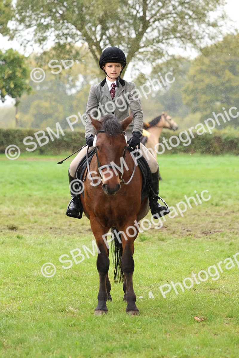 SBM_69733 - S62 - Mountain & Moorland Ridden Large Breeds