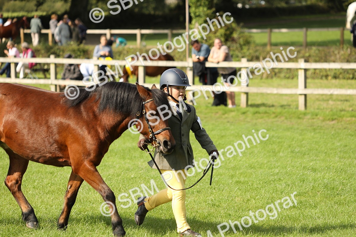 SBM_68590 - S40 - Junior Handler 9-12 Years