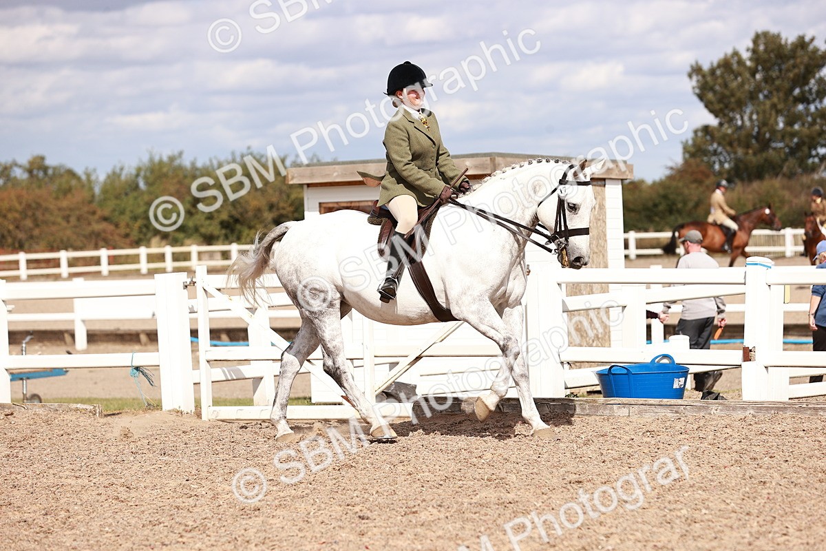 SBM_14426 - Class 410 - Grassroots Ridden - Horse