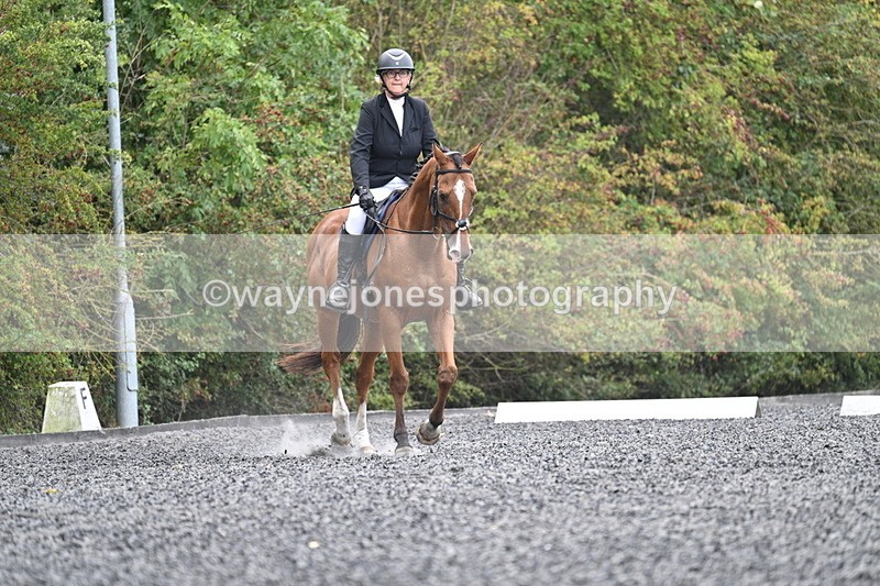 WJ7_3454 - Time 09:54 to 10:54