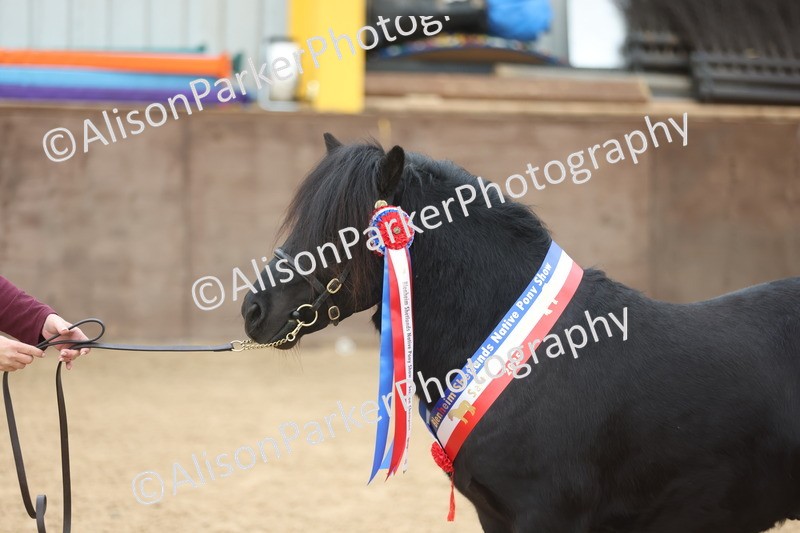 20251109-0132 - Championship