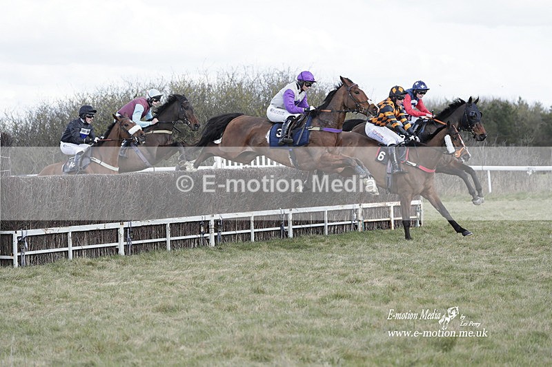PtP 260223 421 - South & West Wilts Point-to-Point Larkhill 26/02/23