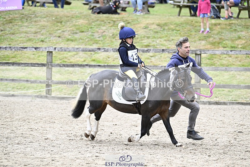 240822X-134528-08457 - 40cm LR R2 13.00 to 15.00