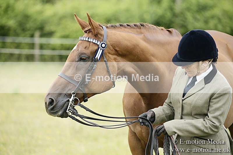 BVR160717-237 - Ring 2 BVRC Show 16/07/17