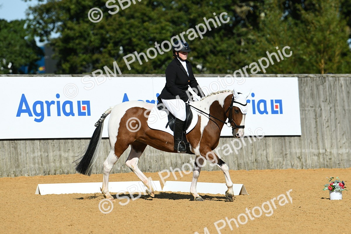 SBM_17929 - D4 - Small Tour Championship - Intro B