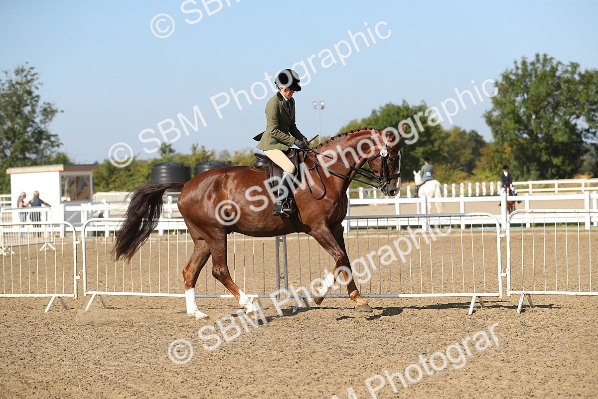 SBM_02208 - Class 43 Ridden Competition Horse/Pony