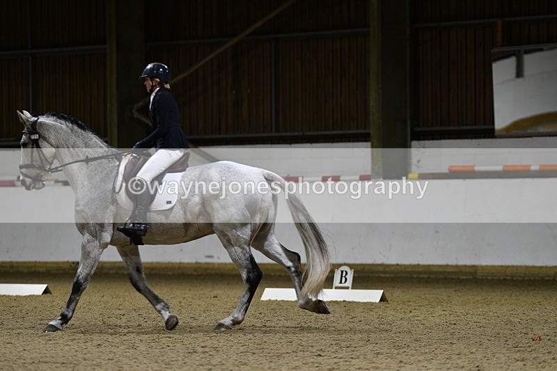 WJ5_8921 - Class 5 Novice Test 3