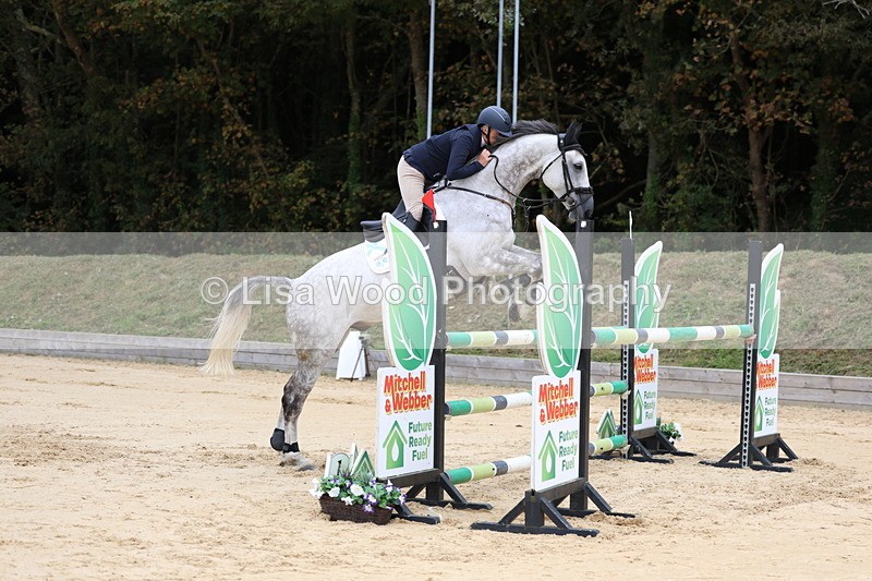 3E7A3308 - Class 9: Senior Foxhunter/1.20 open