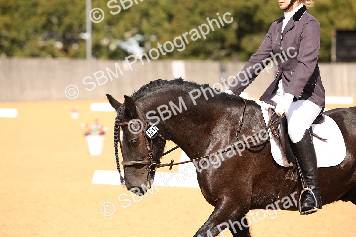 SBM_06735 - D8 Small Tour Championship Prelim 7