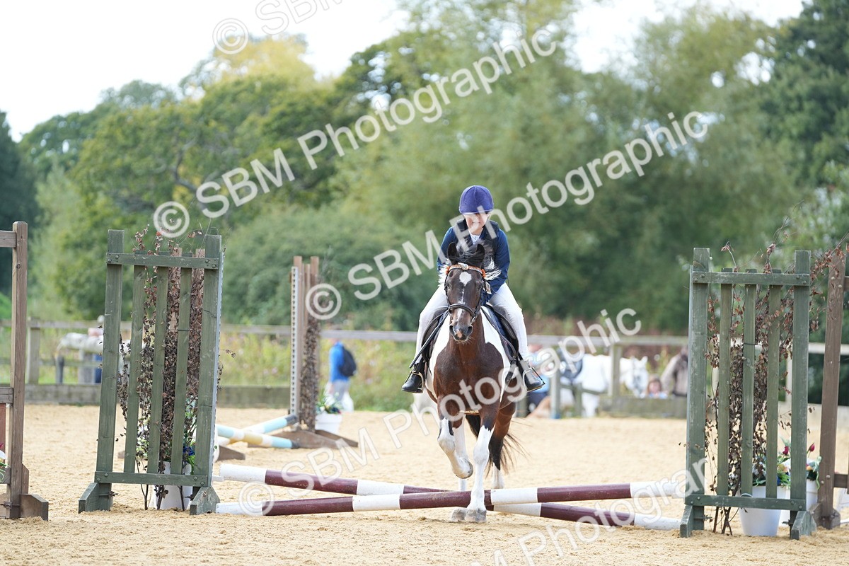 SBM_64400 - J2 - Mini Tour Junior Pony 30cm Championship