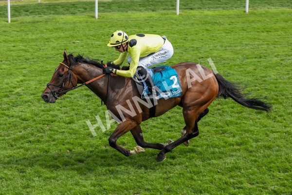 170524-Race 2-Botanical-2163 - Race 2 2.45pm Knights Solicitors Handicap