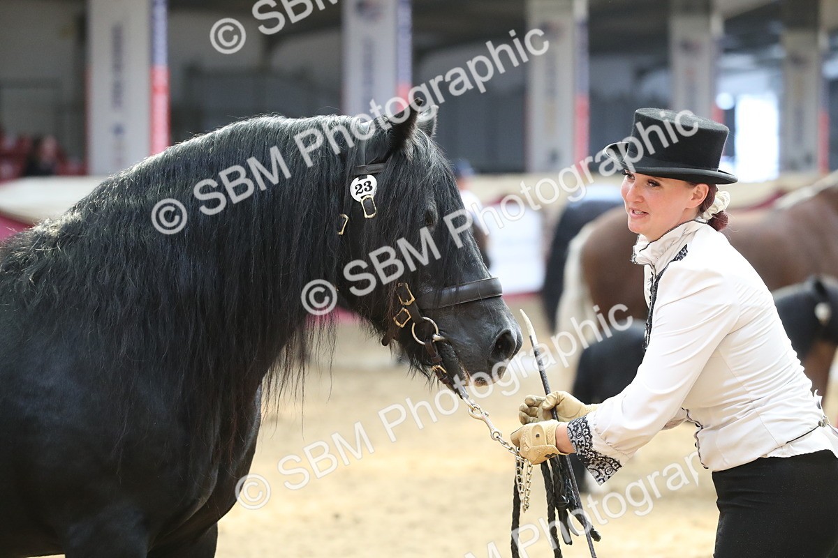 SBM_15320 - Class 501 M&M IH Supreme Final