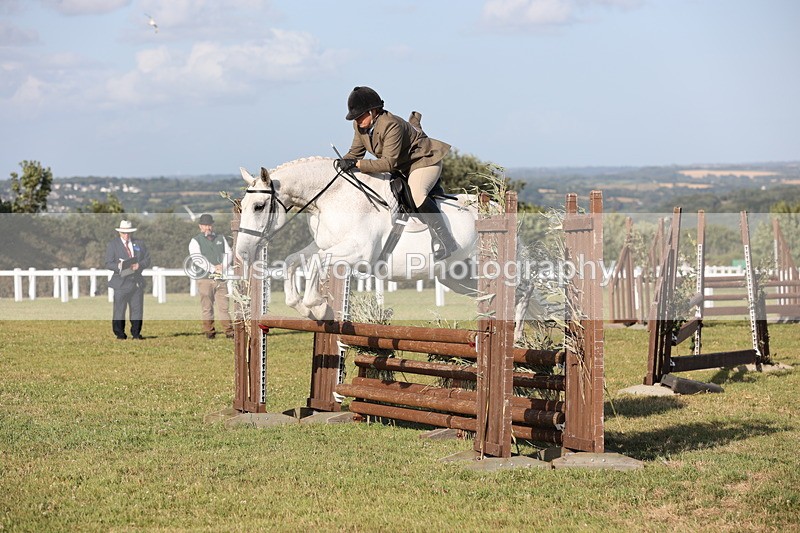 JPP_3377 - Class 22: Working Hunter 90cm