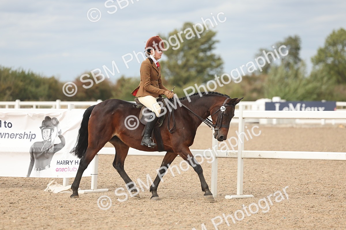 SBM_17972 - Class 314 - Family Horse Pony