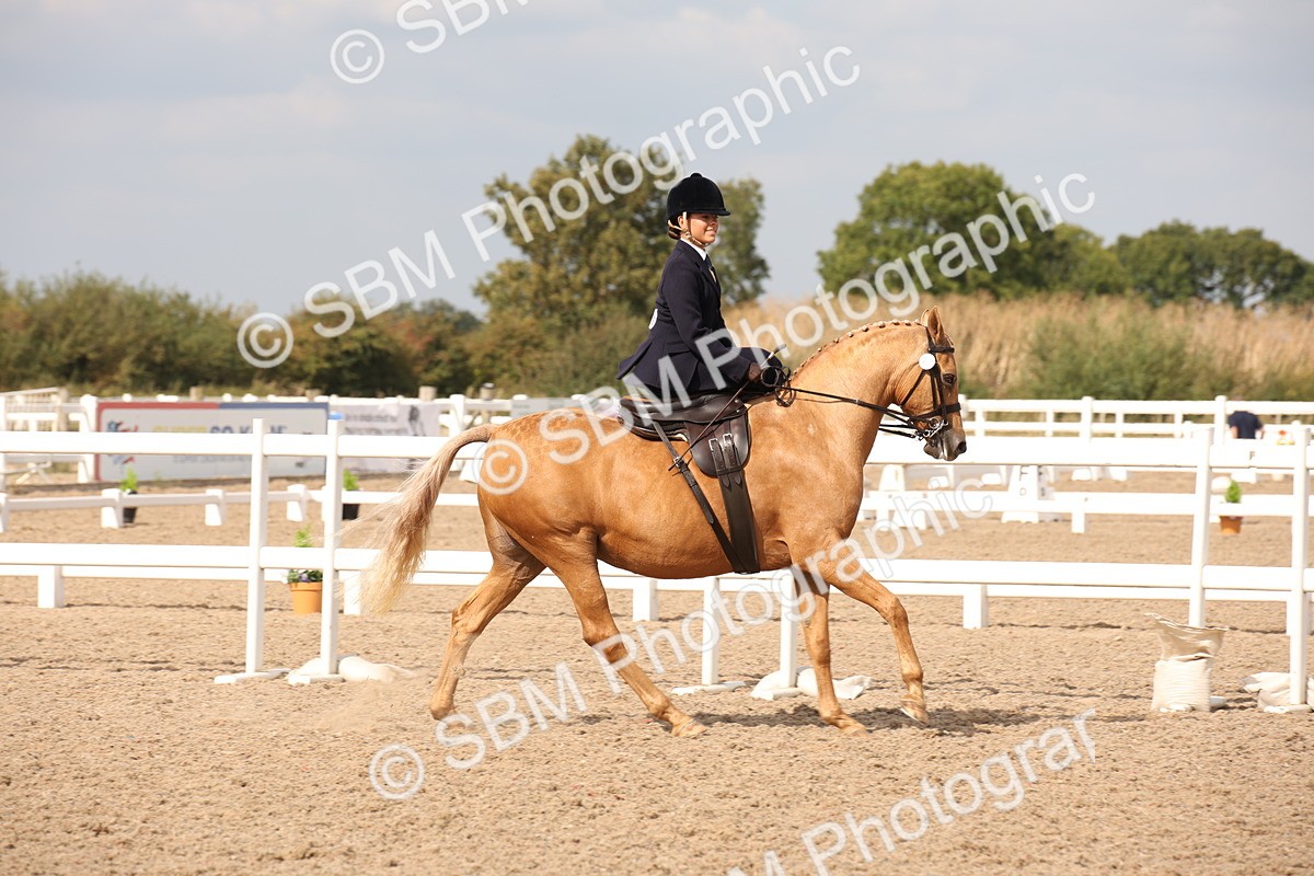 SBM_06720 - Class 24 Concours d'elegance