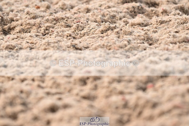 240622A-163205-13148 - Cls 6B+C Novice 30 RoR