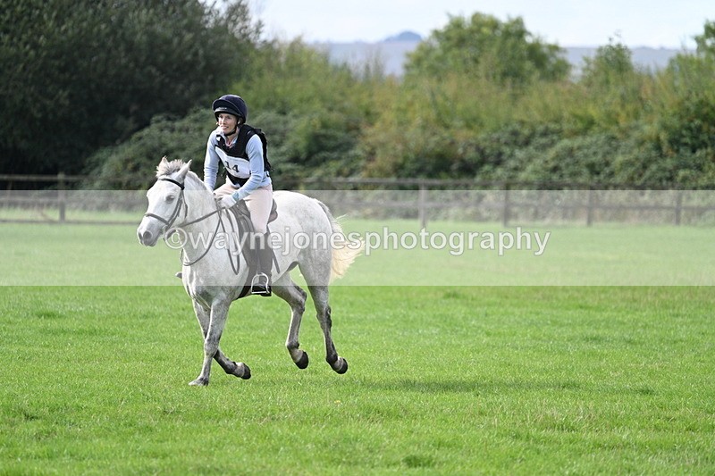 WJ7_8470 - 60cm Pairs