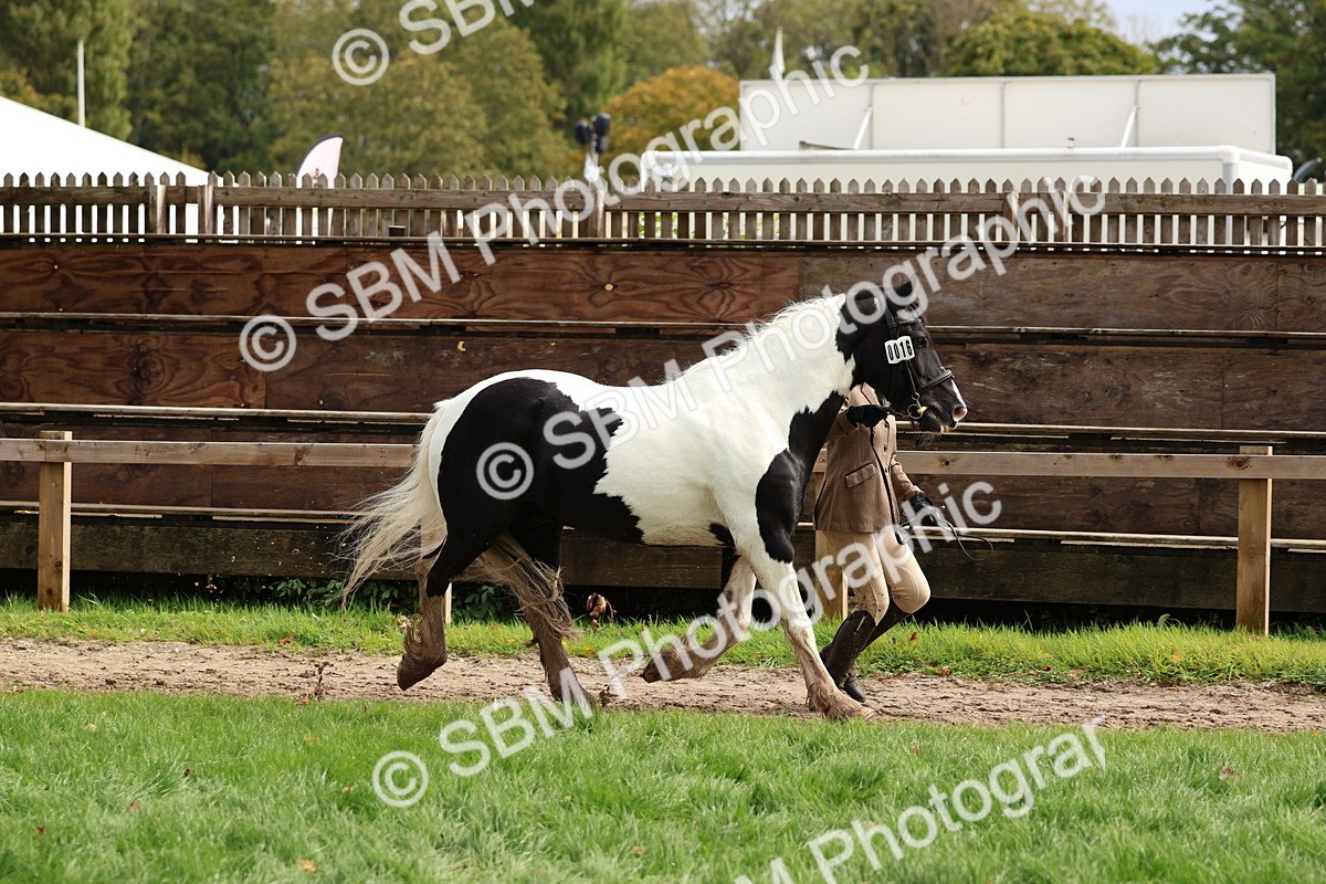 SBM_40742 - S25 -  Veteran In Hand
