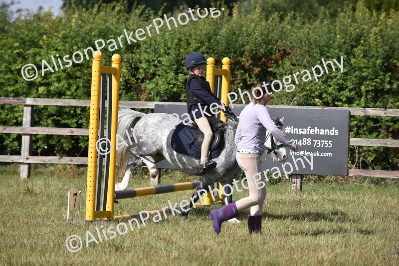 20250831-0458 - Class 7 - Absolute Novice 35cm