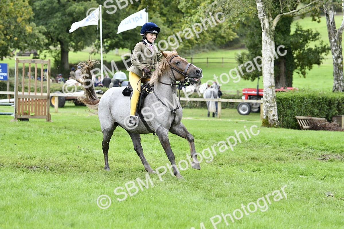 SBM_41340 - S32 - Mountain & Moorland Working Hunter Pony