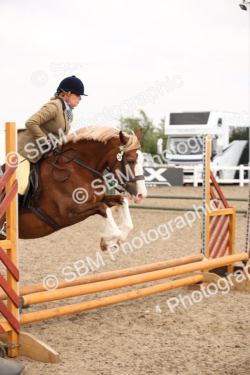 SBM_12599 - Class 405b - M&M Working Veteran 50cm 20+