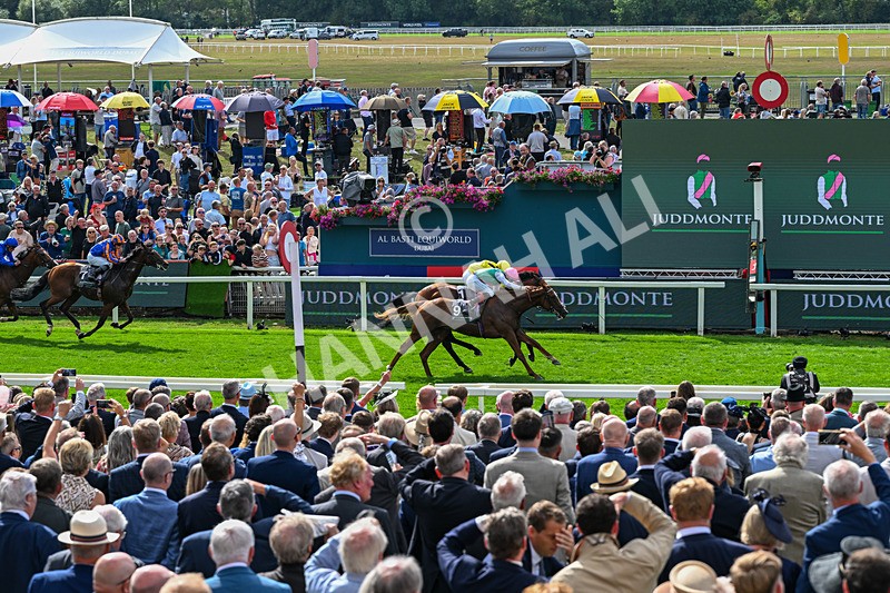 190826-Race 4-Item-1499 - Race 4 15.35pm Juddmonte International Stakes