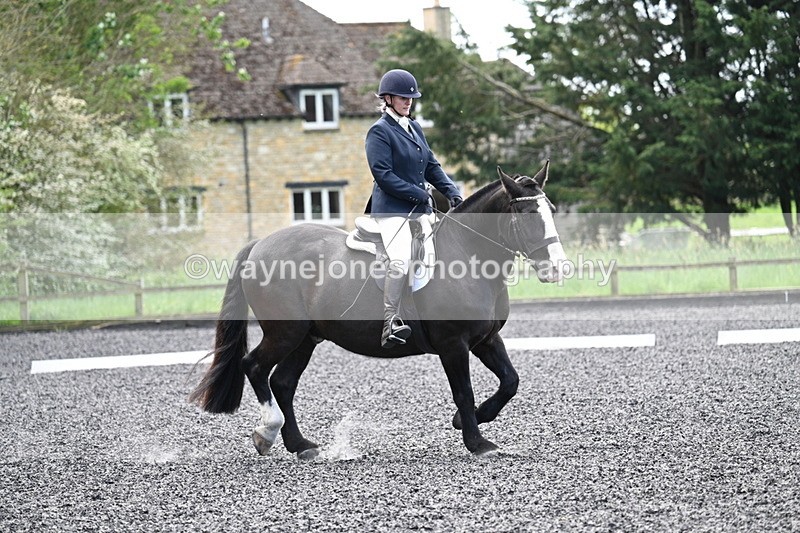 WJ7_9039 - Time 11:32 to 11:54